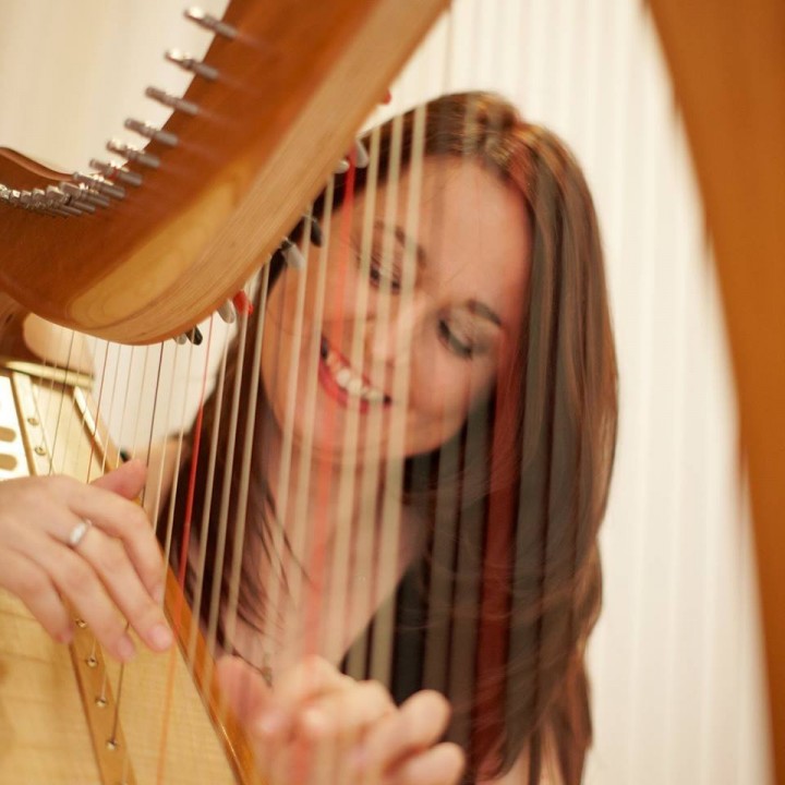 sharon carroll wedding harpist