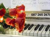 theresa larkin wedding music ceremony reception ireland tipperary offaly laois
