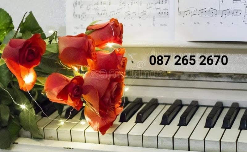 theresa larkin wedding music ceremony reception ireland tipperary offaly laois